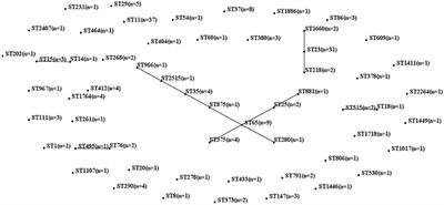 Biofilm Formation in Klebsiella pneumoniae Bacteremia Strains Was Found to be Associated with CC23 and the Presence of wcaG